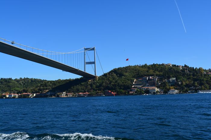 Affair between Solomon and Pegasius