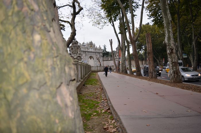 Pillaging the country