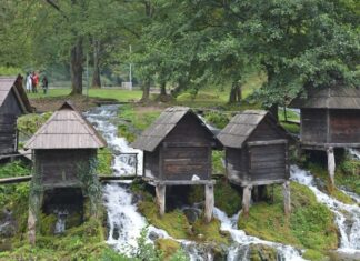 Early Problems in the Macedonian Committee