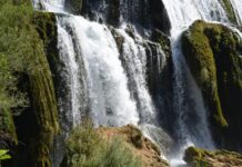 Failure of the Treaty of Berlin