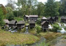 Distinguishing the Harbours of Julian and Hormisdas