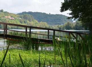 The End of Exile and the Journey Home